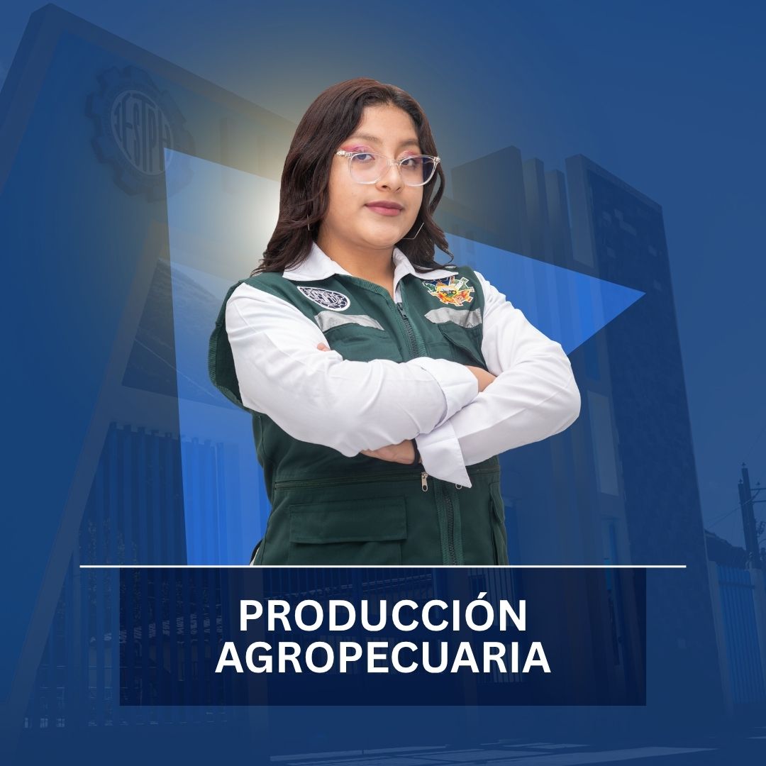 programas de estudio